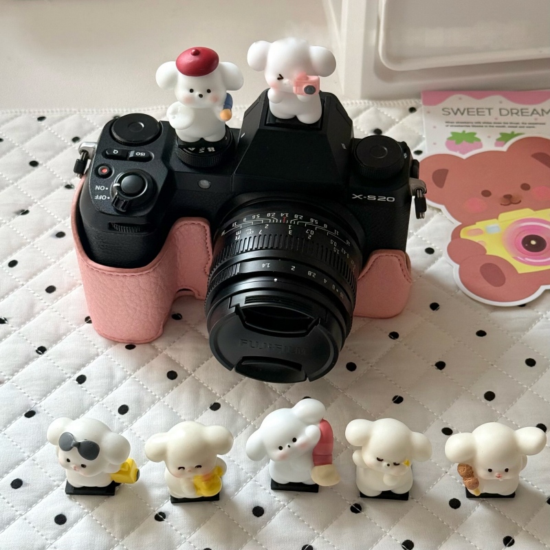 غطاء حذاء الكاميرا العالمي الل - مراجعة Sony Camera Zv-E10 وسعره